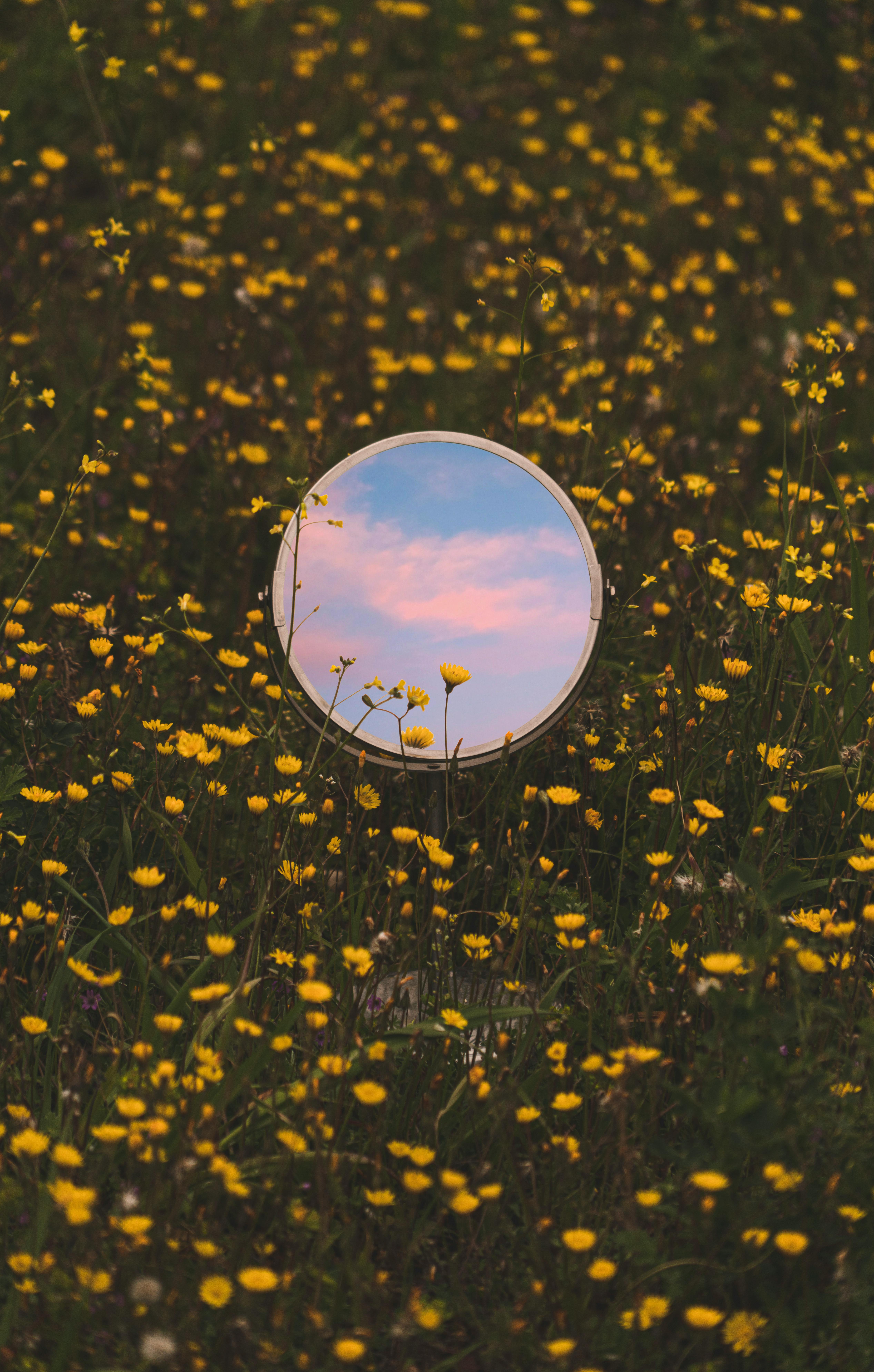 Voltar a Si: o Fim da Imagem, o Início da Alma