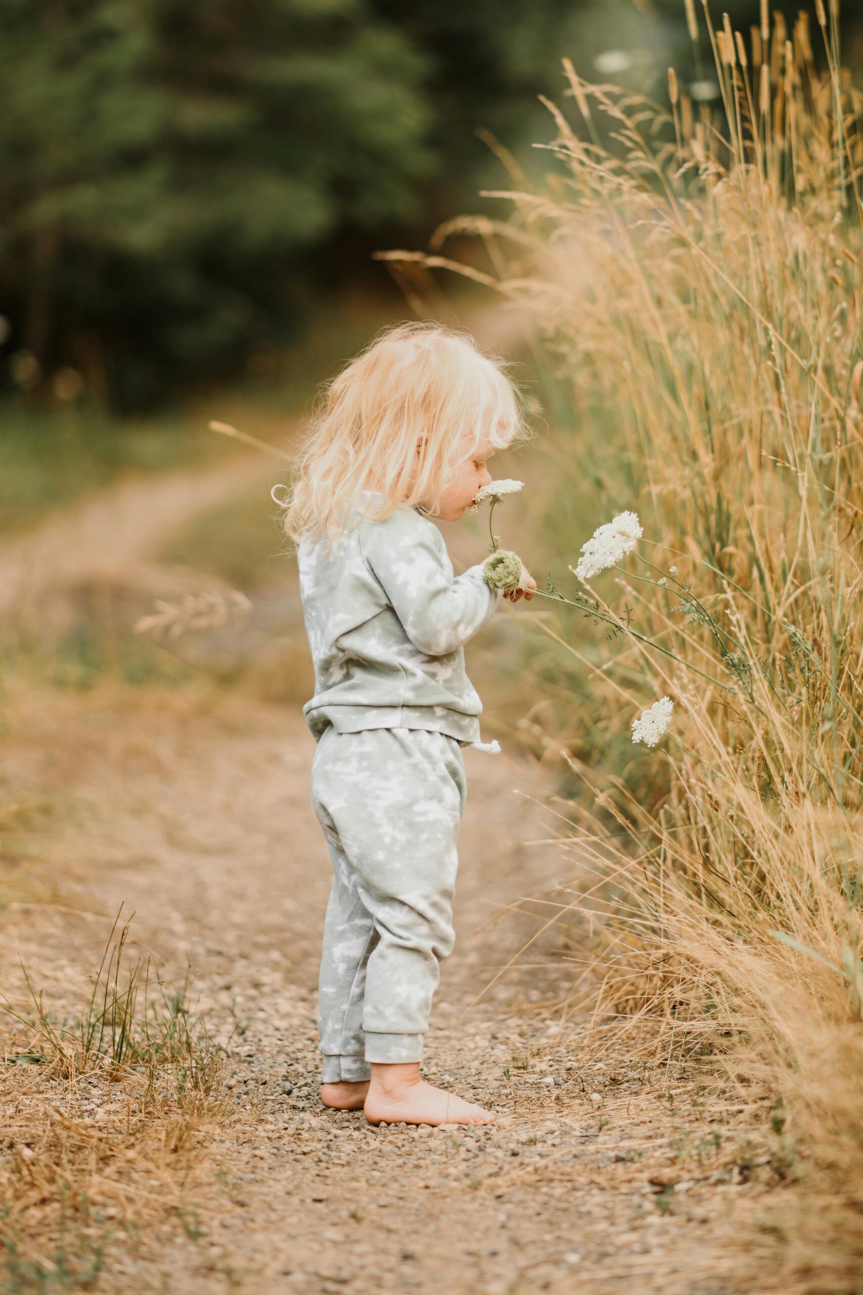 O Impacto da Cultura da Dopamina na Psicologia e o Olhar Junguiano sobre a Busca pelo Prazer
